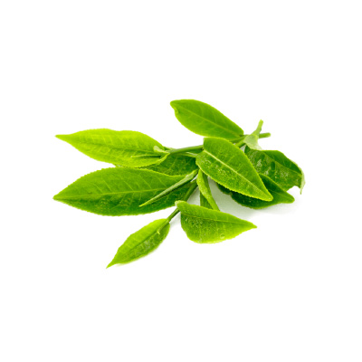 Olive_SPA_krem_akne_02